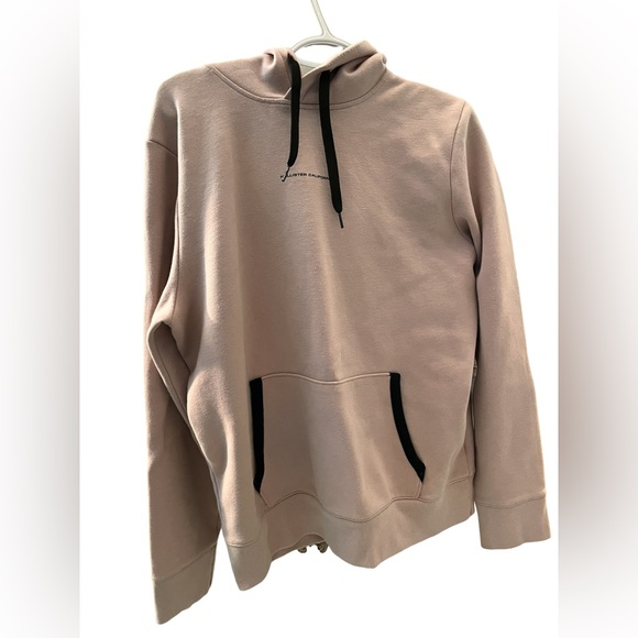 Hollister Other - FINAL SALE Hollister Icon Logo Sweatshirt in Light Pink